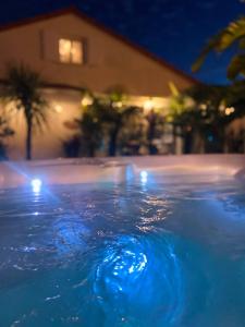 Sejours chez l'habitant Evasion Tropicale - Villa d'Artiste avec Jacuzzi Prive dans un jardin Exotique : photos des chambres
