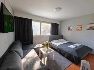 Railway st. central cozy apart+P - Kempele