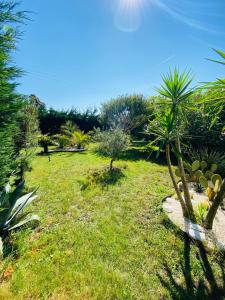 Sejours chez l'habitant Evasion Tropicale - Villa d'Artiste avec Jacuzzi Prive dans un jardin Exotique : photos des chambres