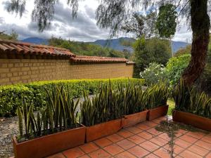 Hotel Aire Libre - Apartamento B