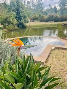 Pancha Mama campestre- 2 cabañas hermosas con lago y piscina - Versalles