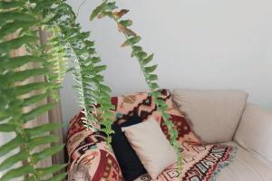 Soul Life Beira Lago, Piscina e lazer MDPF