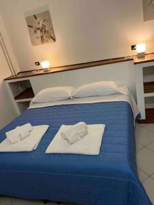 Andromeda Holiday 1 C