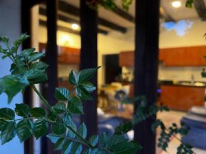 Hotel Aire Libre - Apartamento E