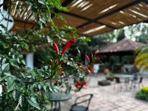 Hotel Aire Libre - Apartamento E