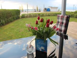 liebevoll eingerichtetes Appartement