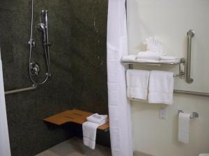 Holiday Inn Express & Suites - Omaha I - 80 by IHG