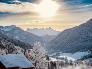 Chalet spacieux 12 pers, 4 ch, 4 sdb, cuisine équipée, parking, cheminée - FR-1-676-201