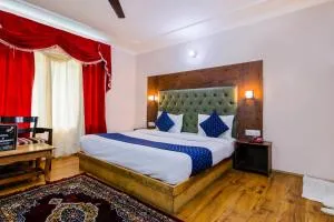 MHA hotels the moon manali - Kyelang