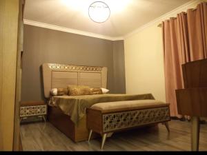 FREE Airport Pick-Up, Luxury Apartment at the centre of Cairo withfacilities