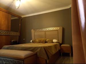 FREE Airport Pick-Up, Luxury Apartment at the centre of Cairo withfacilities