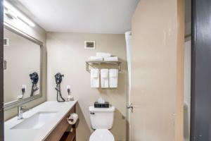 Quality Inn Rochester West