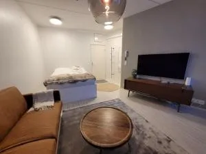 Yksiö keskustasta saunalla - Haukiniemi