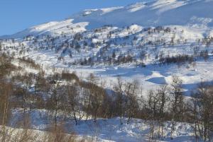 Flott hytte på Vågsli nær Haukelifjell skisenter og skiløyper