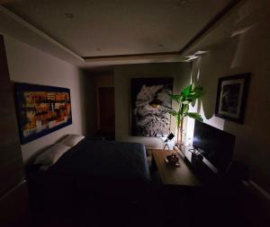 A Cosy Modern Apartment