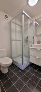 Small cosy and fully equipped apartment with the possibility to rent a car