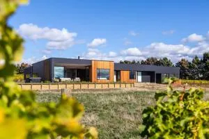 89 In The Vines - Kahutara