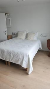 Business Accommodation Garden Living Intimate