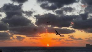 Penthouse Perpignan img26