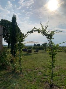 B&B / Chambres d'hotes Chateau Vieux Clos Saint Emilion : photos des chambres