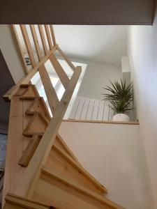 Le cocon T2 duplex 24 m2