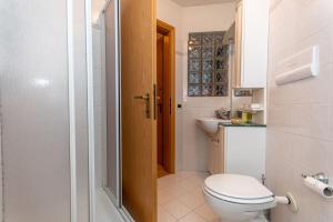 Dolomites Soundscape - Birds River Snow Ski Bus Bike Hike