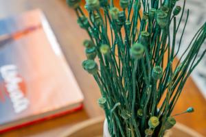 Appartements Tropical Escape near city center Fiber Netflix : photos des chambres