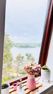 Charmant et cosy appartement à Créteil lac