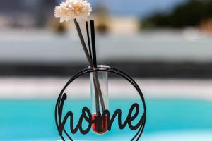 Almodo Suite Puerto Rico