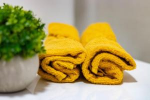 Almodo Suite Puerto Rico