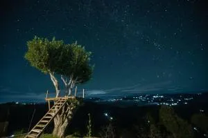 Himadvaya- The Himalayan Prism - Kanra