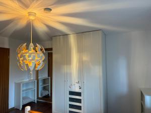 Lichtdurchflutete Ferienwohnung