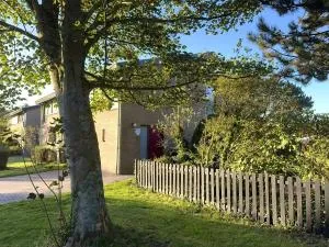 Wijk de Brabander 117 - 卡德赞德-班得