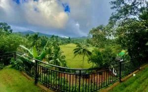 Rainforest Border Edge - Weliwe