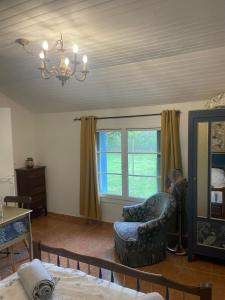 Dog friendly gîte with private Garden, jacuzzi and pool