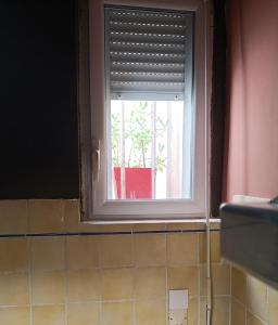 Appartements Studio 24 : photos des chambres