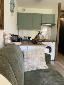 Appartements Le Carolaz Studio cosy et familial pour 4 personnes : photos des chambres