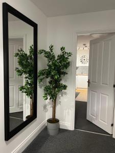 The Nook - Town Centre Apartment