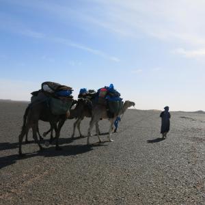 Merzouga Desert Activities & Events