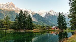 Appartements Loft Apartment High Rimaye - Mont Blanc Views, Close to Brevent : photos des chambres