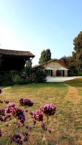 Les Gites Sur La Colline - 21 m2 studio with shared pool