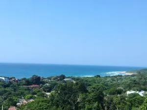 96 PANORAMA Drive - Dernali Station