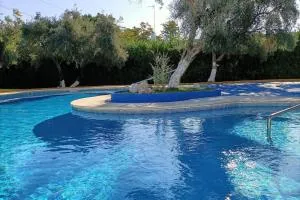 Relax a un paso de Sevilla - Salteras