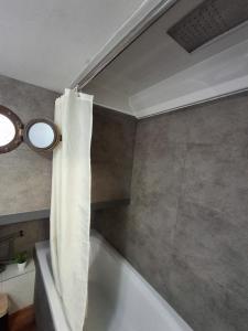 Appartements Appartement atypique independant sur peniche : photos des chambres