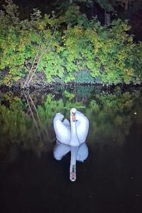 Appartements Appartement atypique independant sur peniche : photos des chambres