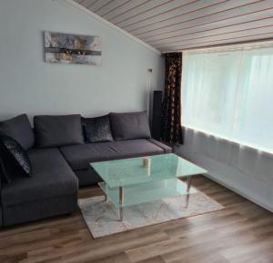Muota River Loft & Muota Industry Apartment near Stoos