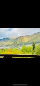 Villa Wood in Mestia N 2