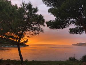 Appartements Residence Casa Toga : photos des chambres