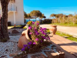 Appartements Residence Casa Toga : photos des chambres