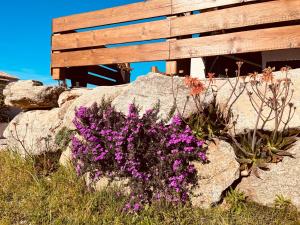 Appartements Residence Casa Toga : photos des chambres